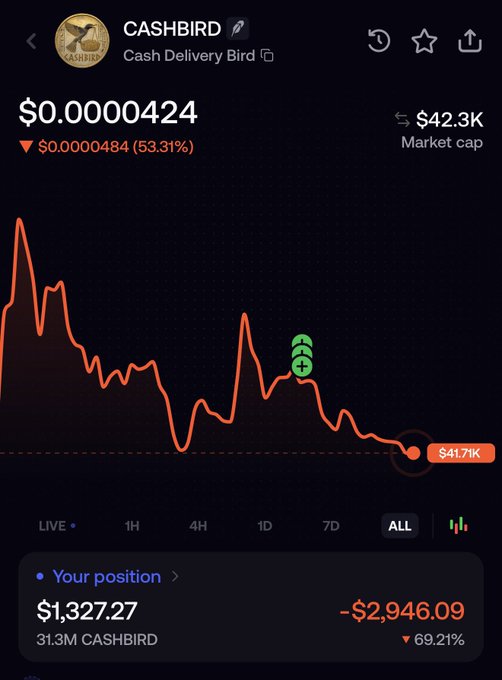 A crypto tracking app displays the price of CASHBIRD (Cash Delivery Bird) at $0.0000424, showing a 53.31% drop and a user's position down 69.21%.