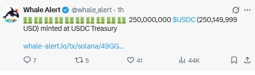 The image shows a tweet from Whale Alert (@whale_alert) reporting that 250,000,000 USDC ($250,149,999) was minted at USDC Treasury on the Solana blockchain, corresponding to the post's claim about $250 million in fiat being deposited into Circle's treasury to mint new USDC.