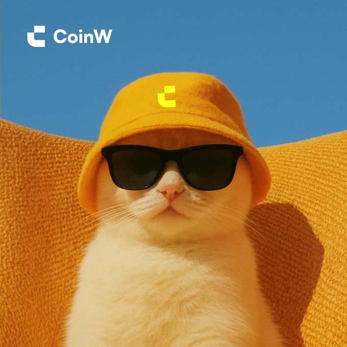 An orange cat wearing black sunglasses and an orange bucket hat, lounging against a blue sky background with the "CoinW" logo in the top left.
