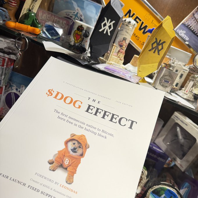 A booklet titled '$DOG EFFECT - THE' subtitled 'The first memecoin native to Bitcoin, born free in the halving block,' featuring a Shiba Inu puppy in an orange hoodie, displayed alongside various souvenirs and trinkets.