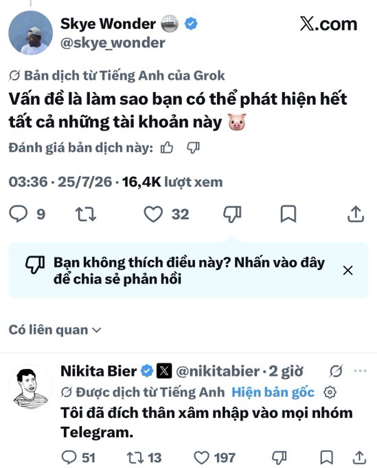 A screenshot of an X.com (Twitter) post by Skye Wonder (@skye_wonder) asking 'Vấn đề là làm sao bạn có thể phát hiện hết tất cả những tài khoản này' with 16.4K views, alongside a related post from Nikita Bier.