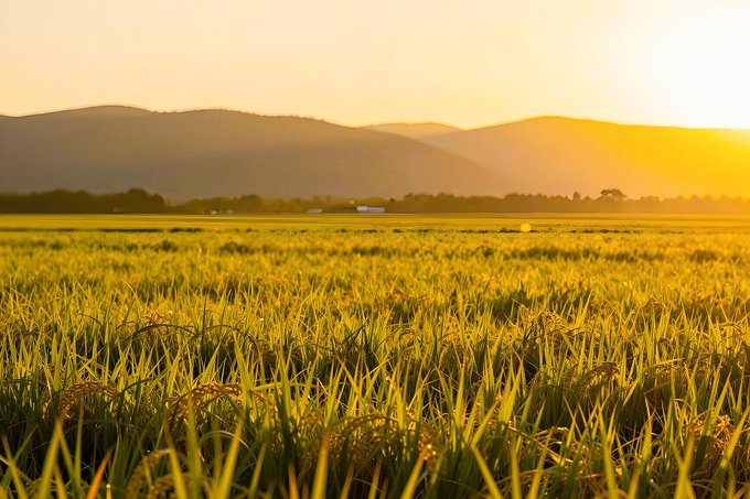 A warm-toned landscape photograph captures a golden sunset over a lush green field with rolling mountains in the distance.