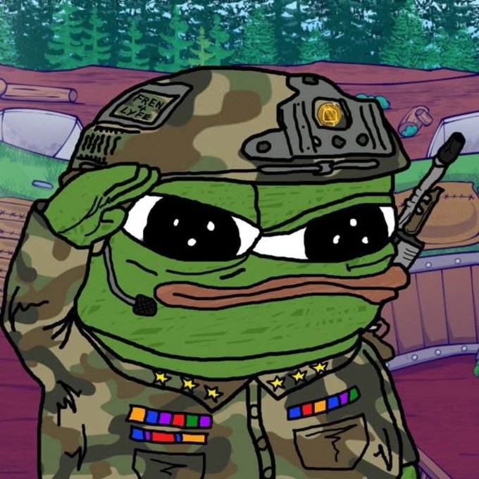 A cartoon illustration of a Pepe the Frog character dressed in military camouflage gear, wearing a helmet with a 'FREN L.Y.F.E' patch, saluting with one hand while holding a rifle with the other.