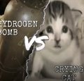 A face-off between a hydrogen bomb explosion and a wide-eyed cat labeled "crypto cat," with the caption comparing the explosive volatility ("Hydrogen Bomb") against the shocked feline reaction ("Crypto Cat")—a humorous take on crypto traders' stunned "vibes" after exiting long positions ahead of the US trading session.