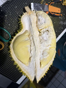 A split durian reveals creamy yellow flesh in its spiky green shell, illustrating the "special price" durian mentioned in the post that costs 15U via Bybit card payment.