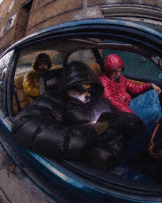 A distorted, fisheye-lens photograph of a dog wearing sunglasses and a black puffer jacket sitting inside a car, holding a phone, with other passengers visible in the back.