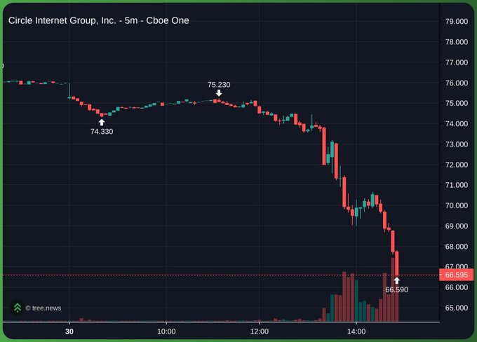 A 5-minute Cboe One candlestick chart for Circle Internet Group ($CRCL) shows a sharp intraday selloff, with the stock plunging from a high of 75.230 to a low of 66.590 (currently 66.595) on heavy volume—visually capturing the market's panicked reaction to news that major financial firms like Visa, Stripe, Mastercard, BlackRock, and Coinbase are launching a competing stablecoin.