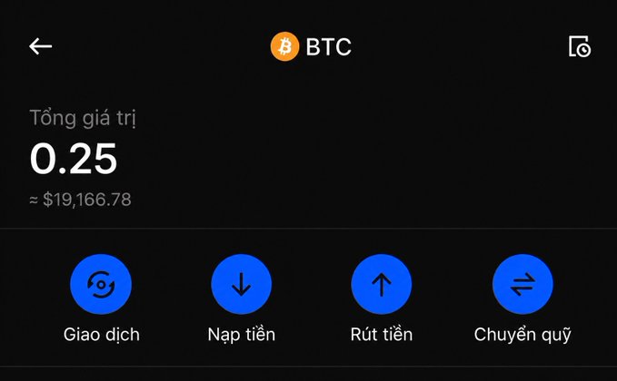Mobile cryptocurrency wallet screen displaying BTC with a total value of 0.25 (≈$19,166.78) and action buttons for Trade, Deposit, Withdraw, and Transfer.