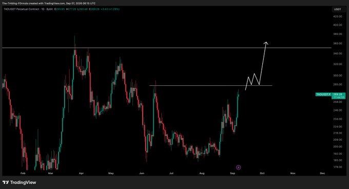 A TradingView candlestick chart of TAO/USDT on Binance displays price action from September 2024 through December, showing a recent breakout above a key horizontal resistance near $300, with a hand-drawn arrow pointing toward a projected target around $350 and beyond, aligning with the post's analysis that $350 represents the next major resistance zone to clear before any significant upward move.