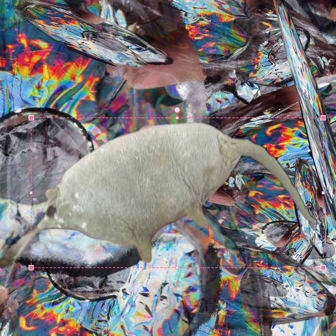 A distorted, iridescent image featuring a white, seal-like animal figure outlined by a dashed pink selection box against a colorful, reflective background.