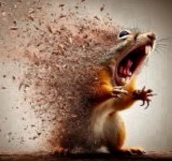 A startled squirrel screams with its mouth wide open while being pelted by dirt, perfectly capturing the desperate panic of "grails becoming more and more unobtainable" as the dust of chance buries the dream. The image humorously visualizes the frustration and chaos of elusive goals slipping further away.