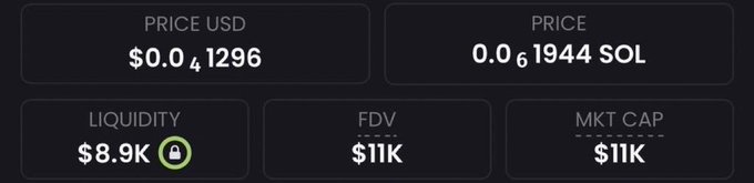 The image shows token statistics with a price of $0.041296 USD (0.061944 SOL), $8.9K liquidity, and both FDV and Market Cap at $11K. This visually supports the post's claim of finding a low-cap memecoin with "100x potential," using these small market cap and liquidity figures to lend credibility to the promotional pitch.