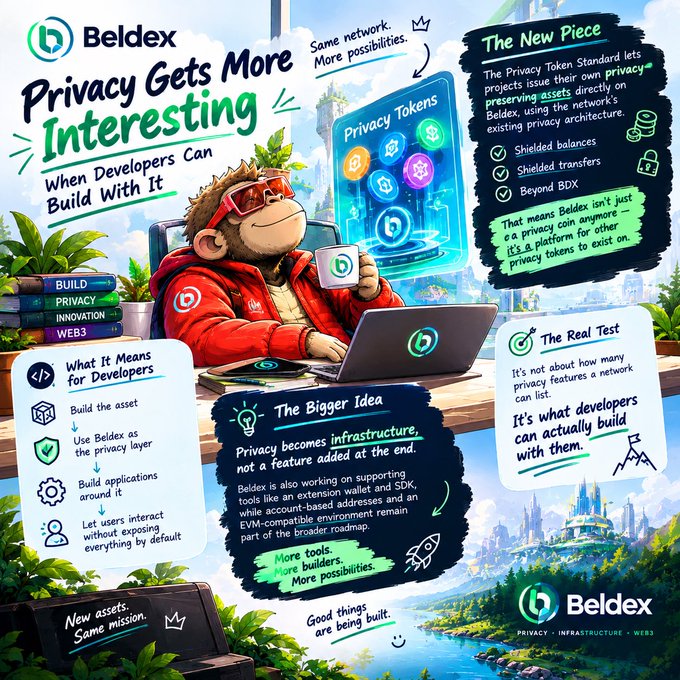 A Beldex promotional infographic titled 'Privacy Gets More Interesting When Developers Can Build With It', featuring a cartoon monkey character with a laptop and explaining their privacy token architecture for shielded balances, transfers, and BDX.