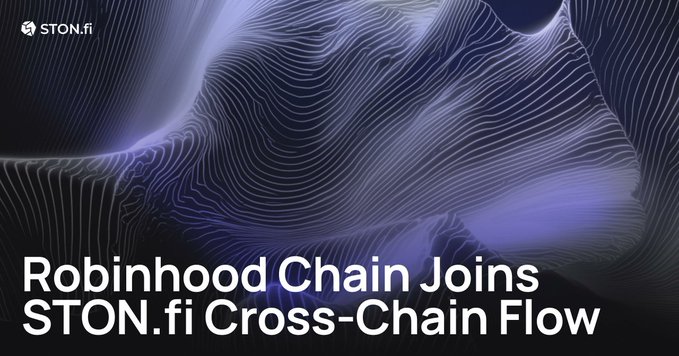 The image proclaims "Robinhood Chain Joins STON.fi Cross-Chain Flow," featuring the STON.fi logo and a dynamic, abstract background that visually represents the interconnectedness of digital networks.