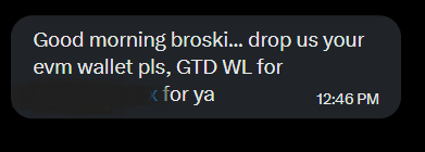 A text message notification at 12:46 PM reads "Good morning broski... drop us your evm wallet pls, GTD WL for [redacted] for ya," illustrating the kind of direct message (DM) interactions the poster received, where someone offers a guaranteed whitelist (WL) spot in exchange for an EVM-compatible crypto wallet address.