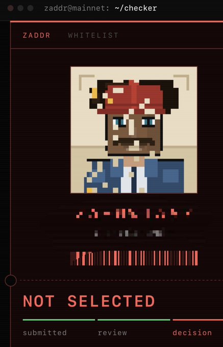 A retro-style digital terminal interface displays a ZADDR Whitelist application page with a pixel-art portrait of a pirate-styled character wearing a red bandana, above red glitched/blocked text and a red "NOT SELECTED" status bar, indicating the user was rejected from the @zaddrnet whitelist and needs to provide proof of rejection for nomination consideration.