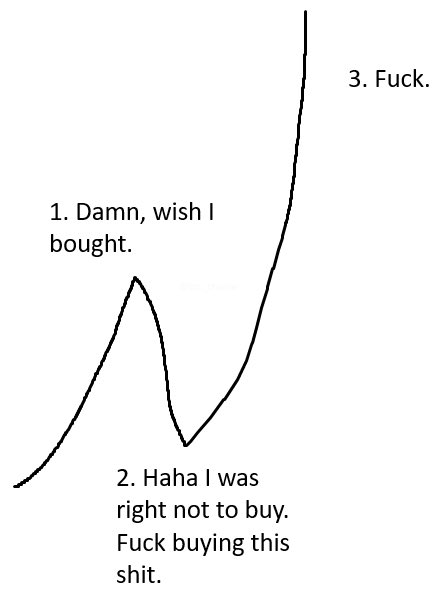 A meme graph showing investor emotions with three labels: '1. Damn, wish I bought.' at the first peak, '2. Haha I was right not to buy. Fuck buying this shit.' at the trough, and '3. Fuck.' at the second higher peak.