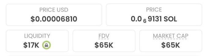 A cryptocurrency price dashboard showing PRICE USD at $0.00006810, PRICE at 0.0₆9131 SOL, LIQUIDITY at $17K, FDV at $65K, and MARKET CAP at $65K.