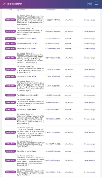 The image is of an screenshot from the website Pi BlockExplorer, with the main focus being on a page that displays different sets of options for a user named "Set Options Signer Weight Threshold". The rest of the screen features rows of text containing various data and lists about the community's interest in something else. It appears that some pioneers noticed this information, as many users are actively discussing it on the website, which indicates that there might be a particular topic or aspect of Pi BlockExplorer that is generating a lot of attention from the user base.