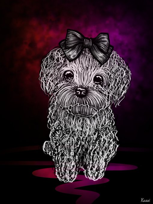 A black and white sketch of a fluffy poodle wearing a bow sits against a dark purple background with pink accents, signed 'Kassi' in the corner.
