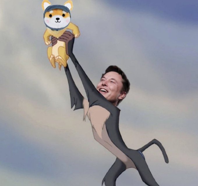 A digitally edited image shows Elon Musk's face superimposed on a leaping cartoon cat body, joyfully holding up a Shiba Inu dog (Doge) wearing a space helmet—evoking the playful "to the moon" theme of Dogecoin's anticipated rally.