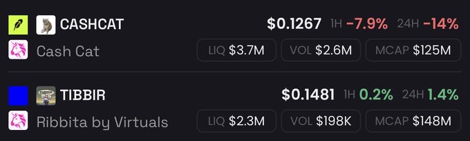 The image displays cryptocurrency market data for CASHCAT (Cash Cat) priced at $0.1267 with a 7.9% 1H and 14% 24H decline, compared to TIBBIR (Ribbita by Virtuals) at $0.1481 showing modest gains of 0.2% 1H and 1.4% 24H. This supports the post's claim that $TIBBIR has widened its lead against $CASHCAT, with TIBBIR's positive momentum and higher market cap ($148M vs $125M) contrasting CASHCAT's sharp declines.