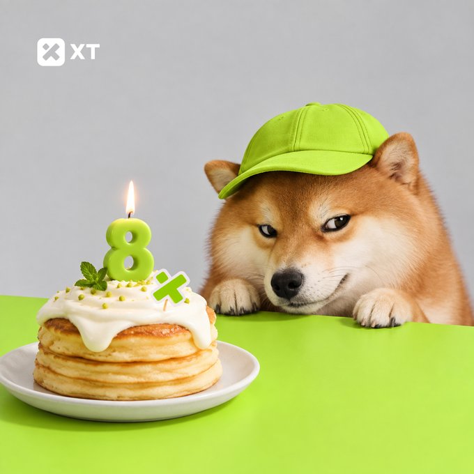 Image of a Shiba Inu dog wearing a green cap looking at a stack of pancakes topped with an '8' candle and the XT logo.