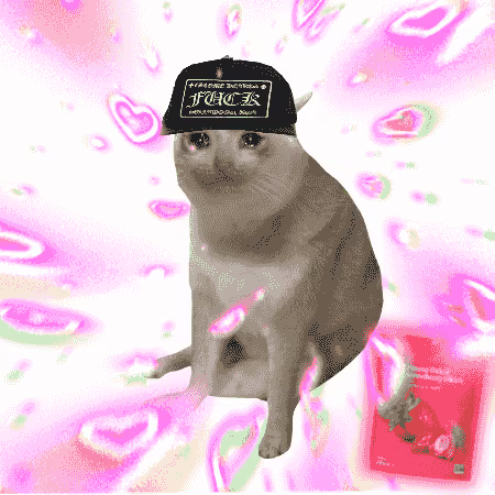 A Shiba Inu dog wearing a black cap with text sits against a pink background filled with heart shapes and sparkles, with a red product package visible in the lower right.