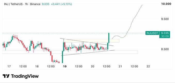 TradingView candlestick chart for “INJ / TetherUS · 1h · Binance,” showing INJUSDT at “9.035” and “+5.13%,” with an upward projected price path toward 10,000.