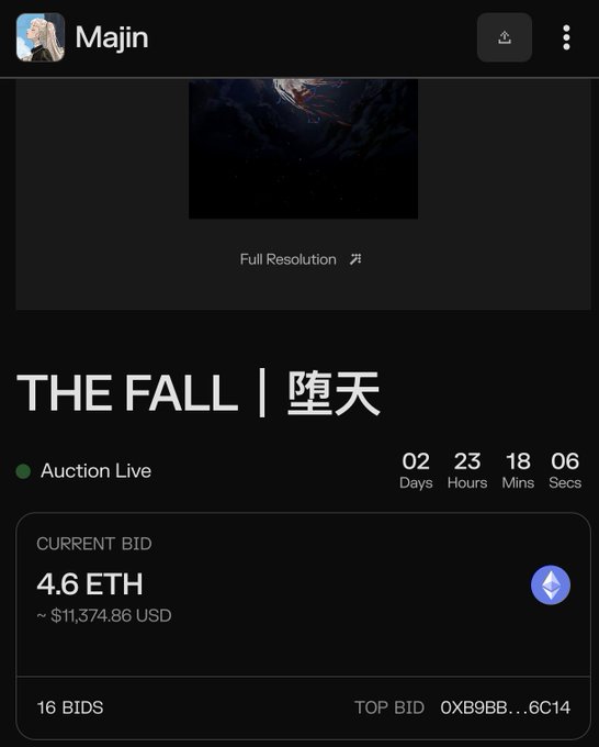 An NFT auction listing from artist 'Majin' for 'THE FALL | 隍天' with a current bid of 4.6 ETH (~$11,374.86 USD), 16 bids, and 2 days, 23 hours, 18 minutes remaining.