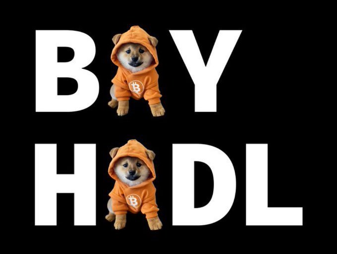 A meme graphic featuring two Shiba Inu dogs wearing orange Bitcoin hoodies forming the 'O's in the words 'BOY HOODL' against a black background.