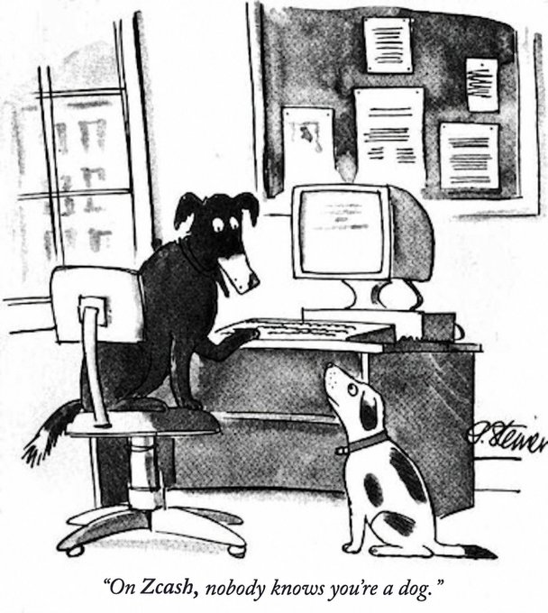A black-and-white New Yorker-style cartoon showing a dog at a computer with another dog looking up, captioned 'On Zcash, nobody knows you're a dog.'