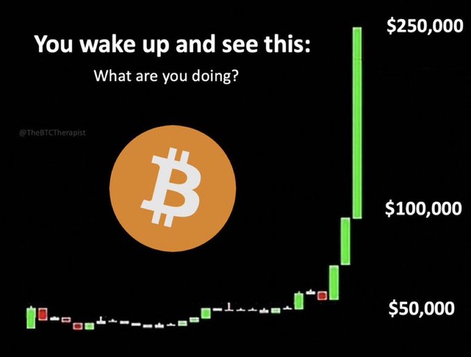 A Bitcoin-themed graphic with text 'You wake up and see this: What are you doing?' featuring the Bitcoin logo and a green candlestick chart showing prices reaching $250,000, credited to @TheBTCTherapist.