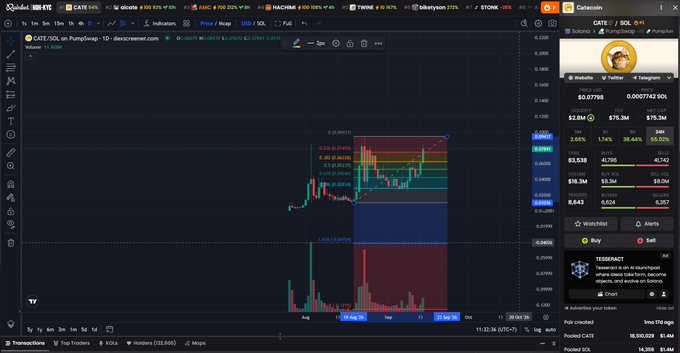 A cryptocurrency trading chart on DEX Screener displaying the CAT/SOL pair with price at 0.007739, showing candlestick patterns and volume bars over a daily timeframe.
