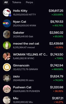 A screenshot of a "Perps" tab on what appears to be a trading platform displays a wallet nicknamed "Hello Kitty" with a massive portfolio value of $36,617.25, holding 15 million Kitty coin, alongside other cat-themed crypto holdings like Nyan Cat ($9,761.53), Gakster ($2,580.32), and Woman Yelling at Cat ($1,743.50). The image visually supports the post's humorous claim about a wallet that exclusively invests in cat coins, showcasing numerous cat meme tokens with significant unrealized gains ranging from 7% to over 413%.