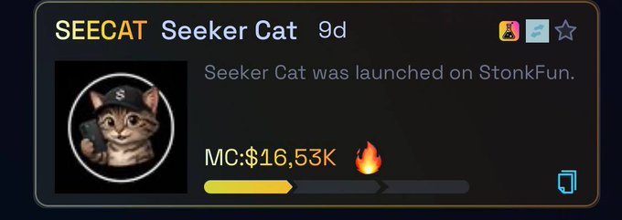The image displays a cryptocurrency token card for "SEECAT Seeker Cat" featuring a cat wearing a detective cap, showing a market cap (MC) of $16.53K with a fire emoji 🔥 indicating a milestone was reached. This aligns with the post announcing that the first threshold has been passed, symbolizing the token's hot performance on the Raydium launchpad.