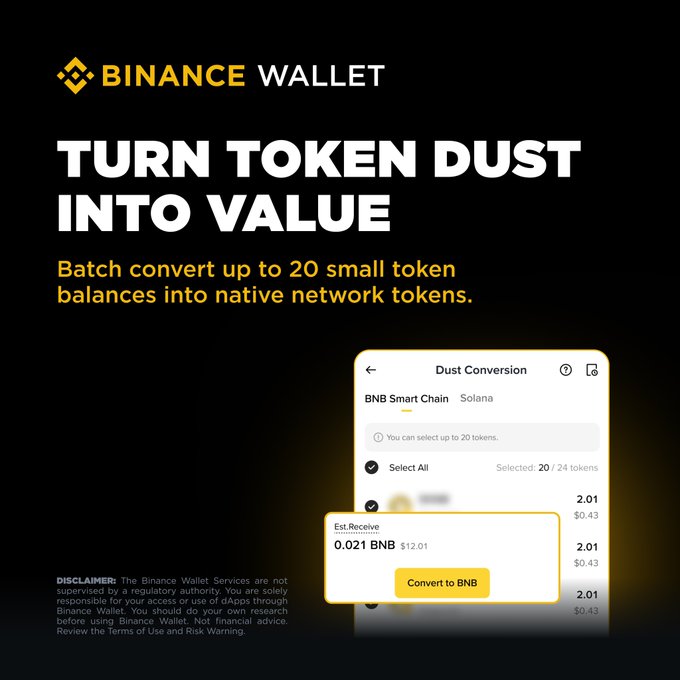An advertisement for 'Binance Wallet' features the text 'TURN TOKEN DUST INTO VALUE' and shows a 'Dust Conversion' interface to 'Convert to BNB'.