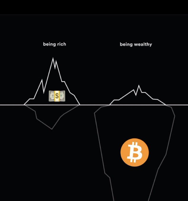 A diagram contrasting 'being rich' (an iceberg with a small dollar bill above water) versus 'being wealthy' (an iceberg with a large Bitcoin symbol hidden below the surface).