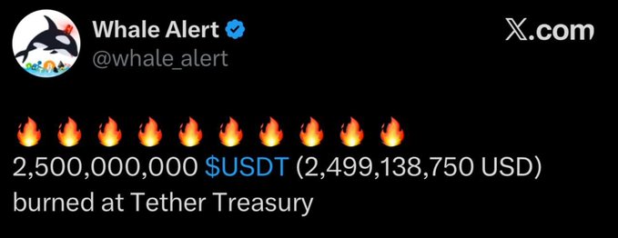 A tweet from Whale Alert (@whale_alert) on X.com reports that 2,500,000,000 $USDT (2,499,138,750 USD) was burned at Tether Treasury, accompanied by ten fire emojis, visually reinforcing the burning of 2.5 billion USDT on the Ethereum network.
