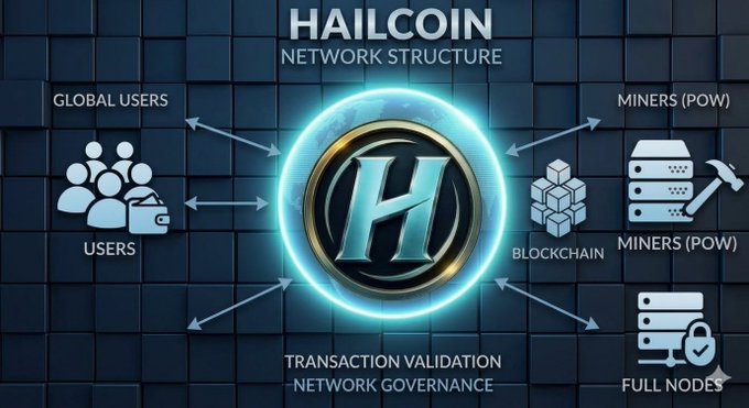 A promotional graphic titled 'HAILCOIN NETWORK STRUCTURE' showing a central 'H' logo connected by arrows to labeled components: 'GLOBAL USERS', 'USERS', 'MINERS (POW)', 'BLOCKCHAIN', 'MINERS (POW)', 'FULL NODES', 'TRANSACTION VALIDATION', and 'NETWORK GOVERNANCE'.
