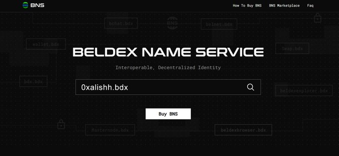 A webpage for the 'BELDEX NAME SERVICE' with the tagline 'Interoperable, Decentralized Identity' and a search bar showing '0xalishh.bdx' above a 'Buy BNS' button.