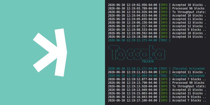 The image shows the Kaspa logo on the left alongside terminal output logs displaying timestamps, block acceptances, and throughput statistics, with the text "Toccata Activated" appearing between the log entries, confirming the successful activation of the Toccata hardfork on the Kaspa mainnet as referenced in the post.
