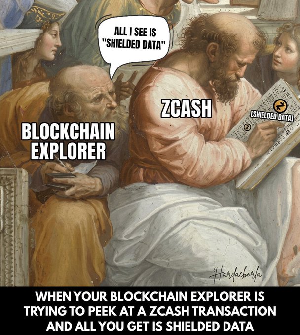 A meme using classical Renaissance-style painting where 'BLOCKCHAIN EXPLORER' looks sadly at 'ZCASH', who says 'ALL I SEE IS "SHIELDED DATA"' while pointing at a document labeled '[SHIELDED DATA]'; caption reads 'WHEN YOUR BLOCKCHAIN EXPLORER IS TRYING TO PEEK AT A ZCASH TRANSACTION AND ALL YOU GET IS SHIELDED DATA'.