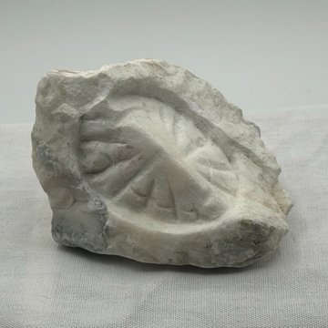 A photograph of a white carved stone fragment featuring a circular leaf or shell-like motif, displayed on a textured white fabric surface.