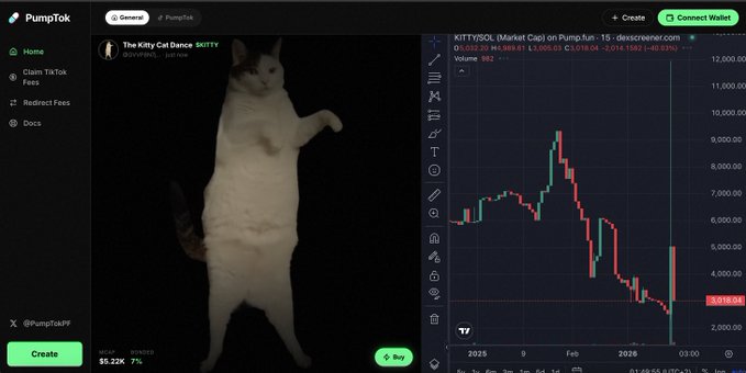 A screenshot of the PumpTok platform showing a meme coin called 'The Kitty Cat Dance' (KITTY) with a dancing cat animation and a descending price chart on Pump.fun.