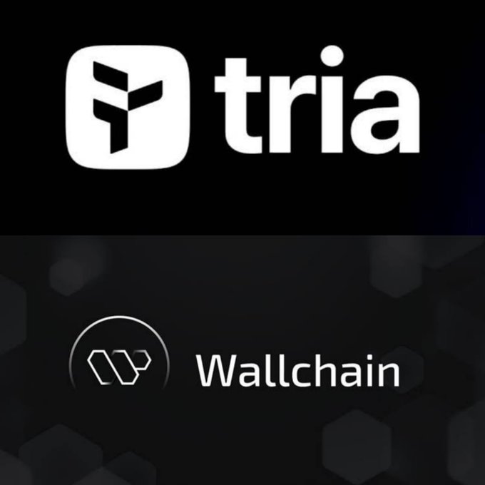 The image features a logo for a cryptocurrency called "Wallchain" with a white background, black text, and a small white circle. The text reads "Wallchain", which is the name of the cryptocurrency being promoted. Below this, there are two logos - one in black and white representing the social media platform "Tria" and another in white that says "Wallchain". These logos aim to attract users' attention by showcasing the simplicity and ease-of-use of the Wallchain cryptocurrency compared to other complicated technologies.