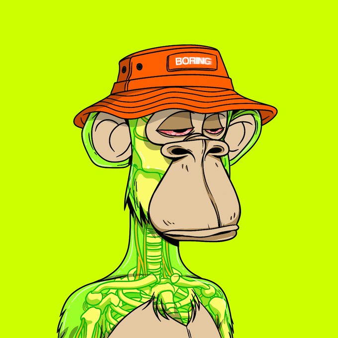 A cartoon illustration of a green and beige monkey wearing an orange bucket hat labeled 'BORING' on a bright yellow-green background.