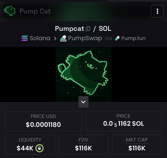 A cryptocurrency tracking interface for 'Pumpcat' token on Solana, showing a pixel art cat logo and metrics: Price $0.0001180, Liquidity $44K, FDV $116K, Mkt Cap $116K.