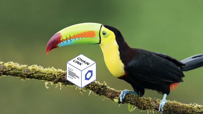 A toucan perched on a mossy branch next to a white cube branded with 'CHAINLINK' and a blue logo, set against a blurred green background.