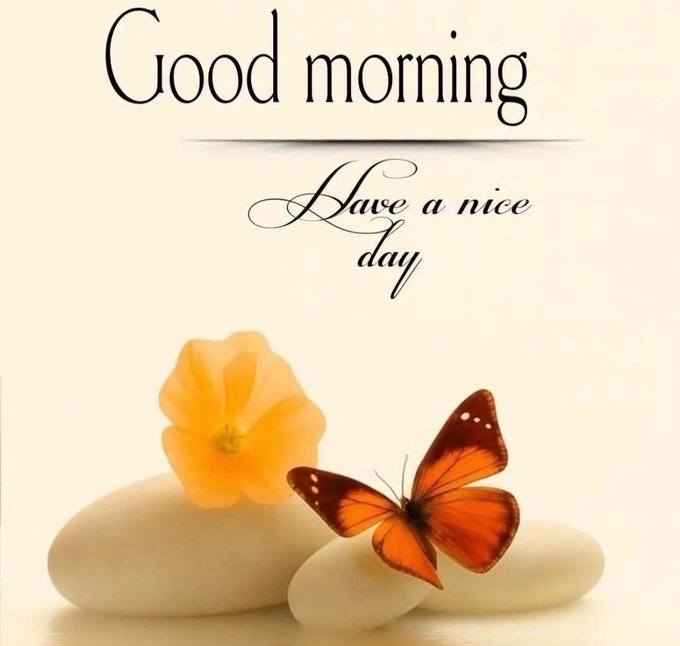 A greeting card featuring a yellow flower and an orange butterfly resting on white stones, with the text 'Good morning' and 'Have a nice day' in elegant script.